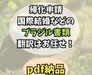 帰化結婚ブラジルの公的書類、ポルトガル語翻訳します 帰化申請を乗り越えた私が格安でサポート イメージ1