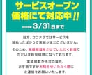 デザイナー歴20年以上！資料作成をお手伝いします サービスオープン記念価格（2025年3月31日まで）対応中 イメージ2