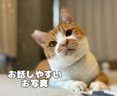 飼い主様とペットちゃんの魂のつながりを読み解きます この子と出会った意味を知りたいあなたへ イメージ2