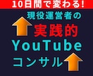 10日で変化！現役YouTuberがコンサルします 手を動かしながら、設計〜分析まで完全サポートで再生数を伸ばす イメージ1