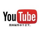 YouTube用テロップ作成・編集を代行し致します 【手間の掛かる作業を代行★YouTuberさんを応援します】 イメージ1