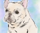 水彩風のやさしいタッチでペットの似顔絵を描きます ふんわり優しい線画で、大切な家族をイラストとして残します。 イメージ2