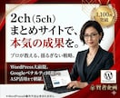 2ch（5ch）まとめサイトの簡単な作り方教えます Googleアドセンス等のアフィリエイトのWEBサイト運用に イメージ2
