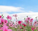 外出の少ない高齢者様 ！とことんお話し聴きます 現役介護士、私が優しく親身に寄り添います イメージ4
