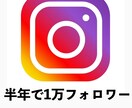Instagram運用代行します 【2回の実績あり】半年で1万フォロワー イメージ1