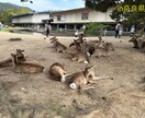 国内・海外問わず！最高の旅行プランを作成します 思い出に残る旅行プランを提案します！ イメージ10