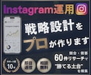 Instagram運用の戦略設計をプロが作ります ビデオチャットで相談しながらアカウント土台を整えます！ イメージ1