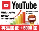 実績作りの為格安で動画5000回再生分拡散します ココナラ実績作りの為、格安で承ります。あなたの動画拡散します イメージ1
