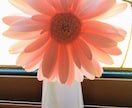 どんなことも、お話しを聞きます あなたの もやもやを溜めないで発散してくださいね イメージ1