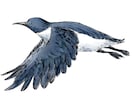 ペン画風で鳥類アイコンお描きします リアルで明暗のはっきりしたシャープな画風です イメージ3