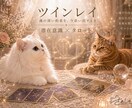 潜在意識×タロットでご相談内容を読み解きます 迷いをほどき、本来の自分らしい生き方へ イメージ2