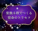 紫微斗数フル鑑定｜12宮で宿命の設計図を作ります 神秘の東洋占術で、あなたの運命とお悩みに寄り添います イメージ1