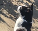 面倒なデータ集計やグラフ代行します 丁寧にがんばらせていただきます。 イメージ1