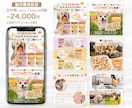 1枚4,000円〜！高品質な商品画像作ります 商品の魅力をしっかりアピール！思わず欲しくなるEC商品画像！ イメージ6