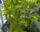 在宅時間＝家族時間！充実する居住空間を提案します ヒアリングを基に充実した家族時間の為の居住空間を提案します！ イメージ4