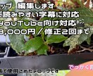 字幕のみ対応します。ご希望にあわせて編集します SNSやYouTube向け字幕、ていねいに編集します イメージ1