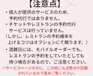ディズニーランド・シーのお悩みを何でも受け付けます 初心者さんでも安心！小さな疑問を丁寧にお聞きして解決します イメージ10