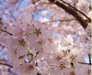 4児のママ、普通の主婦が子供の相談聞きます 場面緘黙、不登校児を抱えるママです。子沢山の悩みも聞きます イメージ1