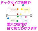 ドッグタイプコミュニケーション愛犬の性格診断します 愛犬に伝わりやすい指示の出し方、必要なしつけがわかります イメージ3