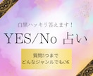 YES/No占い★白黒ハッキリ答えます YES か NO でハッキリシンプルに白黒知りたい方に イメージ1