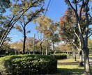 風景、花の画像提供します 風景、花、日常の写真提供します。 イメージ1