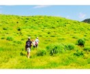 親の連鎖◆自覚必須！幸or不幸／父子育ちが解きます 防げるかも～！良くも悪くも？…もし負の連鎖なら…断ち切りたい イメージ3