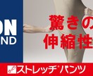 短納期OK! HPを彩るバナーをデザインします キャンペーンや常設用のバナーをデザインいたします。 イメージ3