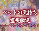 ペットと繋がり【霊視】で気持ちをお伝えします 何を考えているのか、普段聞けない事がわかります イメージ1