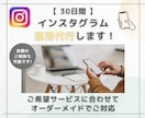 オーダーメイドでインスタ運用代行します ご希望やご予算に合わせてカスタマイズ依頼が可能です！ イメージ1