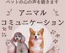 アニマルコミュニケーションで動物さんと会話します ペットに伝えたいこと・聞きたいことを代わりに会話致します！ イメージ1