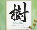 最短1日！飾りやすい小色紙の命名書を制作します 筆文字オーダー命名書｜小色紙・ビニール付 イメージ2