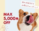 クリックに繋がる！Web画像作ります バナー、商品画像、SNS画像にも！用途は様々◎ イメージ10