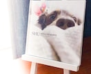 小さめ写真アルバム製作します お宮参り・バースデー・七五三・ペットなど…どんな写真でもOK イメージ1