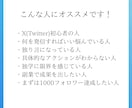初心者のX(Twitter)運用を一緒に支えます 万垢達成の秘訣を伝授！1.2万人の僕が運用に並走します イメージ2