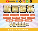 Youtube・SNS・MVなどの動画を編集します 【ビジネス動画・エンタメ動画・切り抜き動画など何でもOK！】 イメージ1