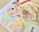 色鉛筆で大切なペットを描きます 記念日やプレゼントに！温かみのある絵を提供します♪ イメージ1