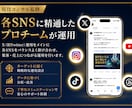 現役コンサル監修⭐︎ X運用代行30日間いたします プロに任せるX(Twitter)最初の一歩から並走します。 イメージ2