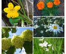 広告や背景に使える写真を提供致します チラシやポップの背景にお困りの方へ イメージ6