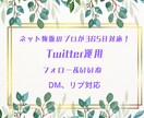 即日着手！10日間Twitter運用代行します 販売のプロが手作業で対応します！フォロワー稼ぎ、集客効果！ イメージ1