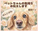 アニマルコミュニケーションで想いをお伝えします 質問1つ/オラクルカードメッセージ付き/初めての方にも イメージ1