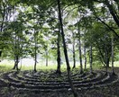 禅タロットで心の鏡を紐解き、明日への一歩を支えます シングル母として3人を育てた経験と禅の教えで心に寄り添います イメージ4