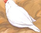 鳥ちゃん専門でイラストお描きします 愛くるしいモフモフなコミカル鳥イラスト！ イメージ3