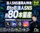 法人SNS運用AI伴走｜BtoB月80本量産します 業界別運用マニュアル×ビデオ通話でBtoB SNS効率化 イメージ1
