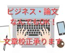 ビジネス・論文なんでもOK！文章校正承ります 京大院卒のプロ研究員が文章校正！5000字2000円～ イメージ1