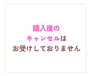 30日間徹底サポート！あなたのゼロイチを伴走します 収益化までの流れを一緒に作りましょう！ イメージ8