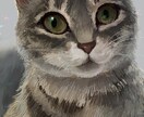 ペットの似顔絵制作します 大切なご家族との思い出、心を込めて丁寧に制作いたします。 イメージ7