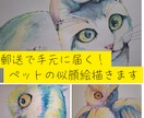 10名様限定！ペット似顔絵が3000円引になります サービス開始記念。先着10名様のご依頼を頂け次第終了 イメージ1