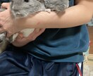 どんな悩みでも聞きます 全て吐きだして、軽い気持ちで笑える明日へ イメージ1