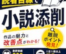 小説添削｜作品の魅力と改善点をお伝えします 読者目線で改善点を率直かつ細かくわかりやすく伝えます！ イメージ1
