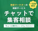 1往復のみ｜集客・広告のチャット相談承ります ちょっと聞きたい方向け！1往復限定の集客・広告チャット相談 イメージ1